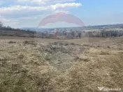 Teren intravilan Dumbraveni / Strada Principala 