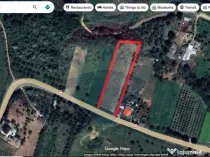 Teren intravilan Dumbraveni / Strada Principala