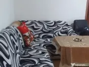 Mihai Bravu 2cam.– zona Piață | Izolat | Termopan | 44.0 