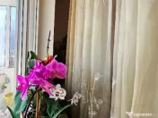 Apartament 2 camere decomandate Precista, zona Kaufland-Costa Rica 