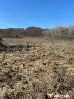 Teren intravilan, 4300 mp, utilitati la 500 m, Valea Garbau
