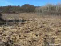 Teren intravilan, 4300 mp, utilitati la 500 m, Valea Garbau