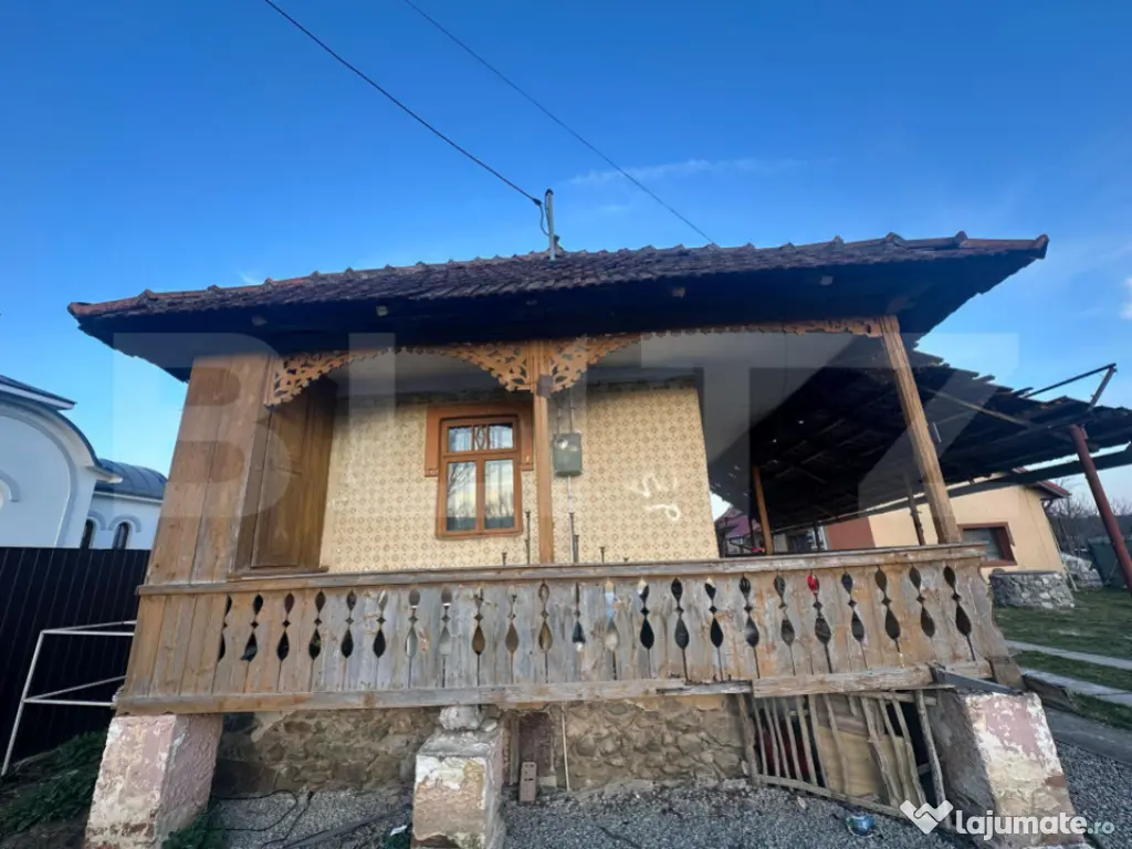 Spatiu comercial de inchiriat, 60 mp Ursati