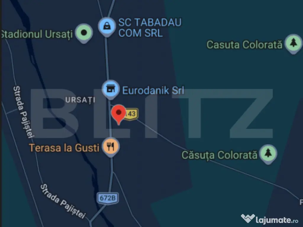 Spatiu comercial de inchiriat, 60 mp Ursati