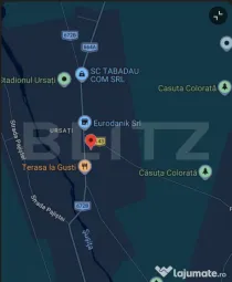 Spatiu comercial de inchiriat, 60 mp Ursati