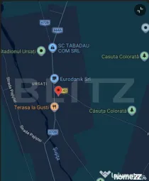 Spatiu comercial de inchiriat, 60 mp Ursati