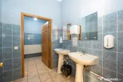 Închiriere spațiu etaj 1 –350mp open-space, Aleea Spi... 