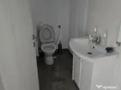 Hale noi 444 mp Domnesti- Centura Bucuresti 