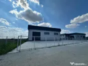 Hale noi 444 mp Domnesti- Centura Bucuresti 