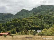 Casa moderna in mijlocul naturii cu lac, Cheisoara 