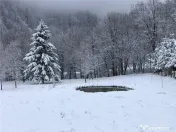 Casa moderna in mijlocul naturii cu lac, Cheisoara 