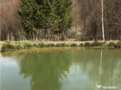 Casa moderna in mijlocul naturii cu lac, Cheisoara 