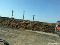 Gunoi crud de vita (balegar)