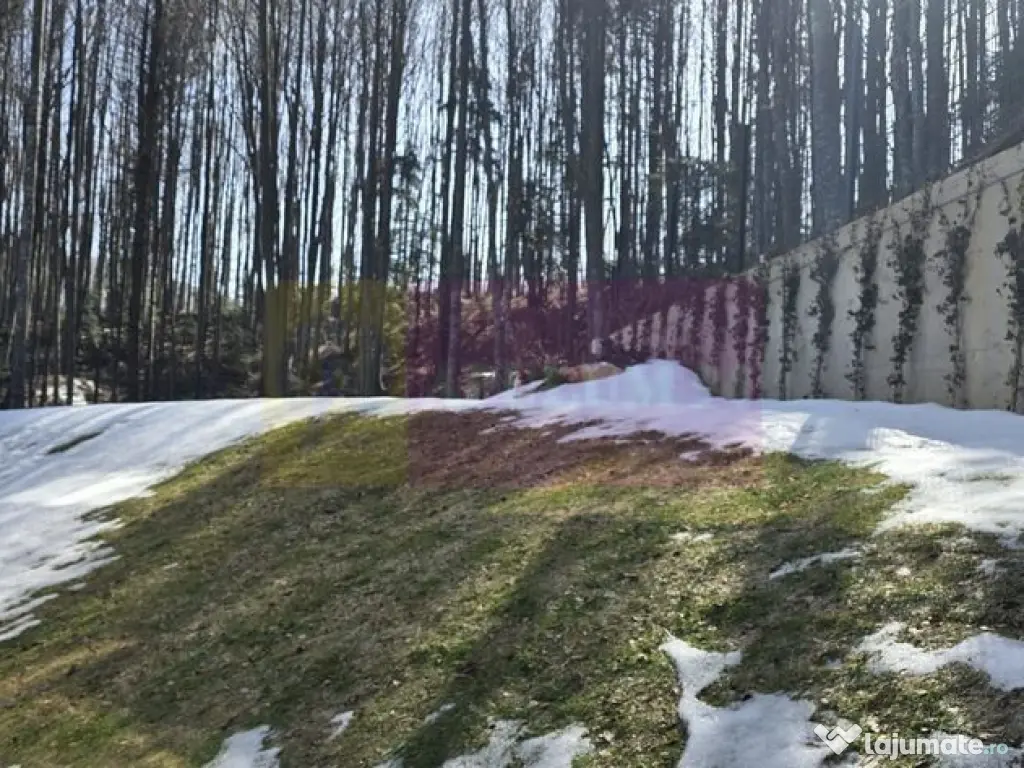 Apartament 2 camere de vânzare la Sinaia - Lux