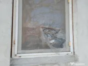 Termopane diferite dimensiuni si usi de lemn 