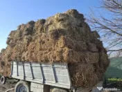 Baloti lucerna, coasa 3