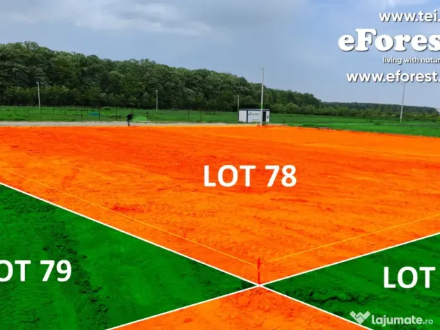 Loturi de la 720 mp, intre 2 paduri, eForest, acces asfaltat din DN1A