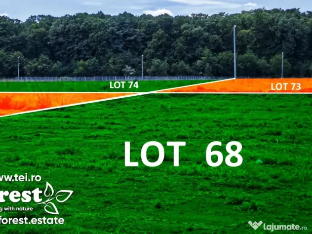 Loturi de la 720 mp, intre 2 paduri, eForest, acces asfaltat din DN1A