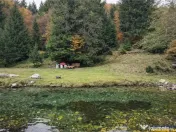 Teren intravilan panoramic 4.600mp,view iconic Piatra Craiul 