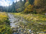 Teren intravilan panoramic 4.600mp,view iconic Piatra Craiul 