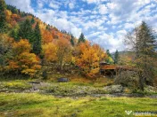 Teren intravilan panoramic 4.600mp,view iconic Piatra Craiul 