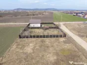 Teren 500 mp, împrejmuit, curent și internet pe teren, ... 
