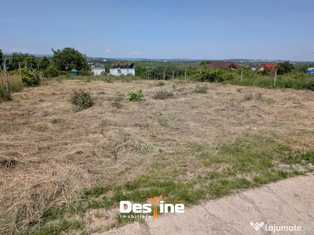 Bârnova - Teren Intravilan 974 Mp, utilitati, drum betonat