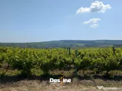 Bârnova - Teren Intravilan 974 Mp, utilitati, drum betonat 