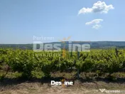 Bârnova - Teren Intravilan 974 Mp, utilitati, drum betonat 