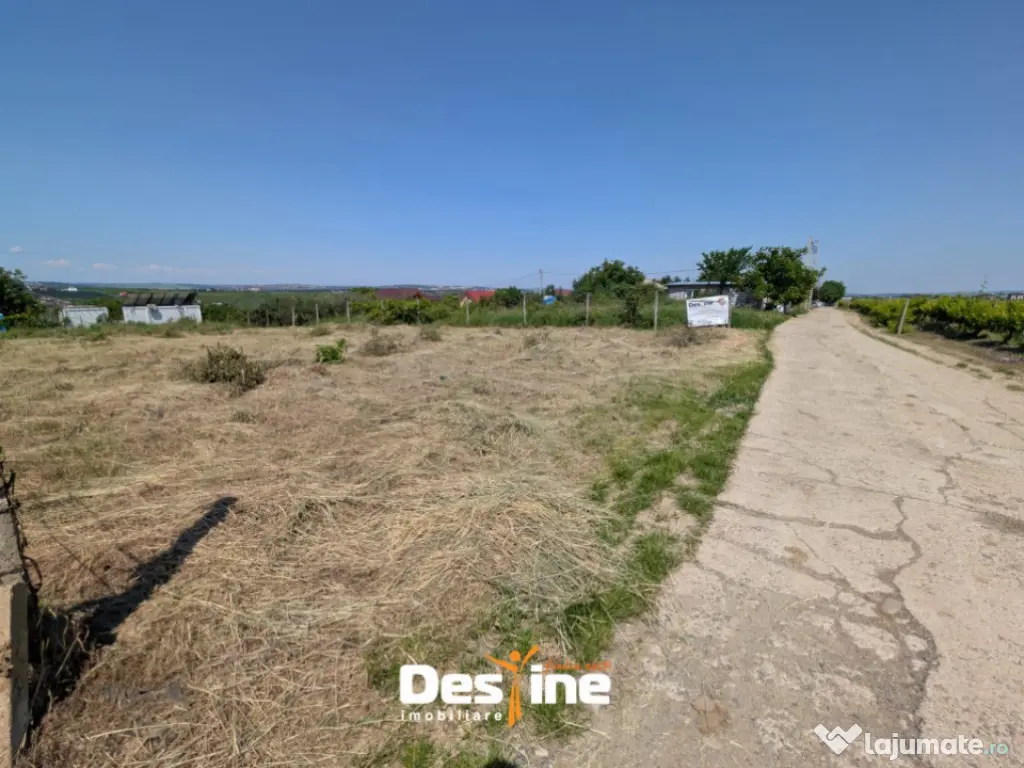 Bârnova - Teren Intravilan 974 Mp, utilitati, drum betonat