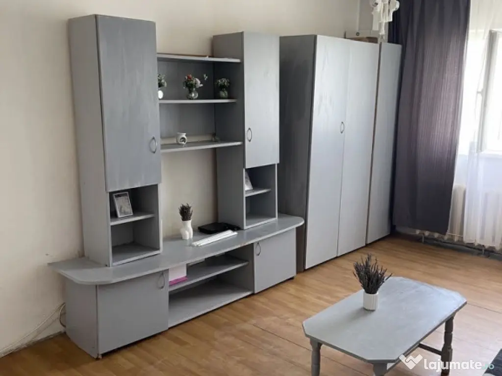 Iancului etaj 10 elev stefanescu