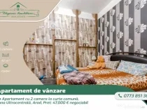 Apartament 2 camere la curte comuna, zona Ultracentrala, Ara