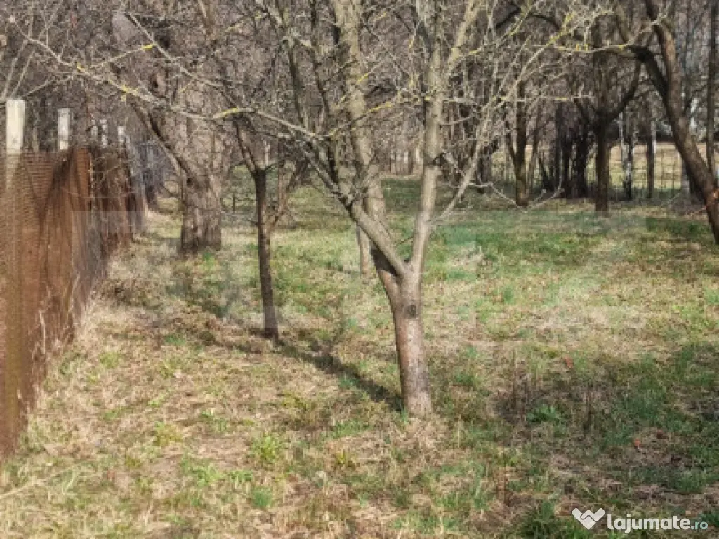 2 CORPURI DE CASA SI 3800 MP TEREN IN BREAZA Prahova