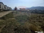 Teren 2,606mp Piatra-Neamt / Strada Orizontului