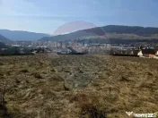 Teren 2,606mp Piatra-Neamt / Strada Orizontului