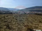 Teren 2,606mp Piatra-Neamt / Strada Orizontului
