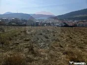 Teren 2,606mp Piatra-Neamt / Strada Orizontului 