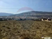 Teren 2,606mp Piatra-Neamt / Strada Orizontului 