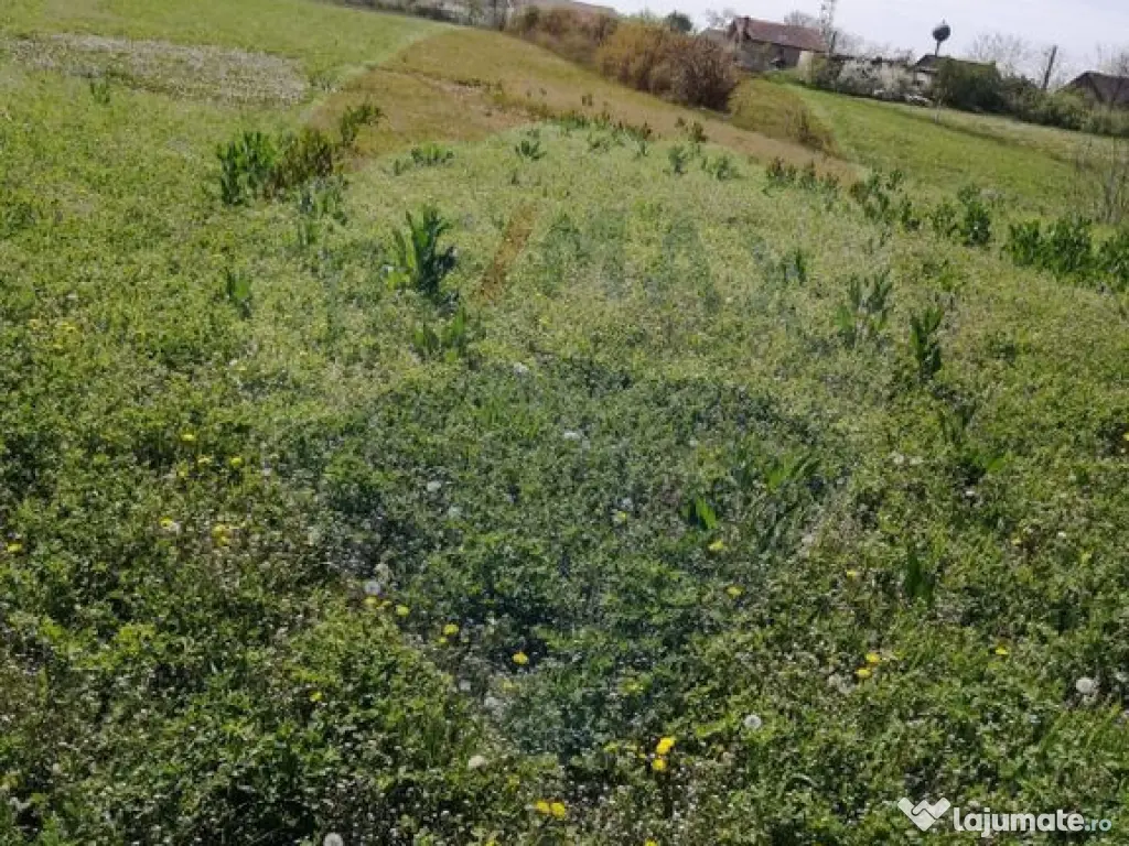 De vânzare teren intravilan, 6574 mp în Leș