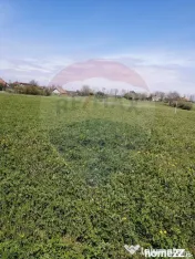 De vânzare teren intravilan, 6574 mp în Leș 