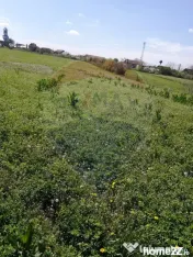 De vânzare teren intravilan, 6574 mp în Leș 
