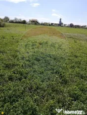 De vânzare teren intravilan, 6574 mp în Leș 