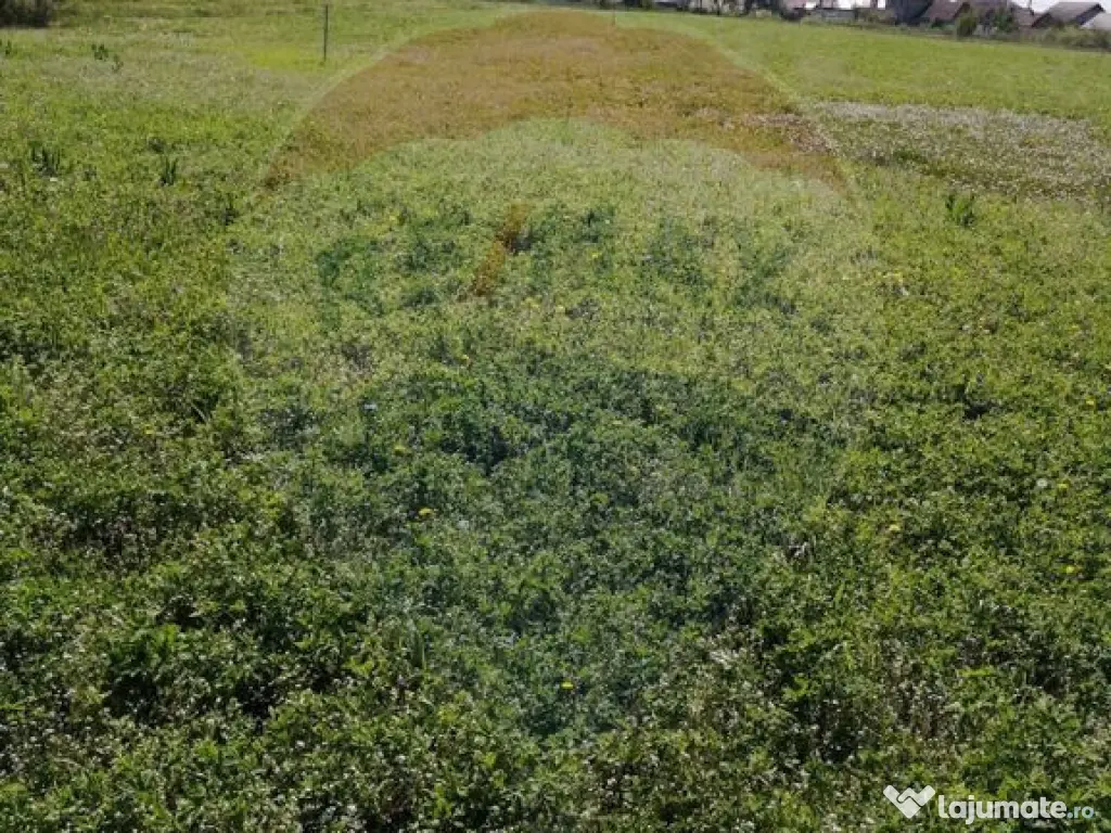 De vânzare teren intravilan, 6574 mp în Leș