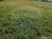 De vânzare teren intravilan, 6574 mp în Leș 