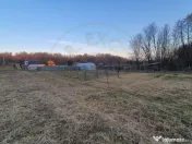 Teren intravilan pentru Casa de Vacanta Mosoaia- Basangest 