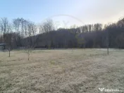 Teren intravilan pentru Casa de Vacanta Mosoaia- Basangest 