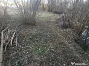 Teren intravilan pentru Casa de Vacanta Mosoaia- Basangest 