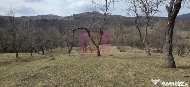 Teren intravilan 2200 mp de vanzare in Valea Doftanei - Valea Doftanei (Prahova)