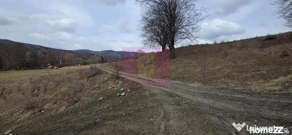 Teren intravilan 2200 mp de vanzare in Valea Doftanei - Valea Doftanei (Prahova)