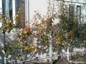 Container compus din două module! 